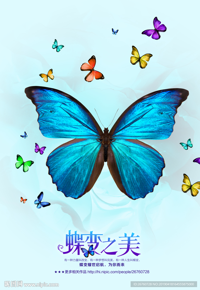 蝴蝶
