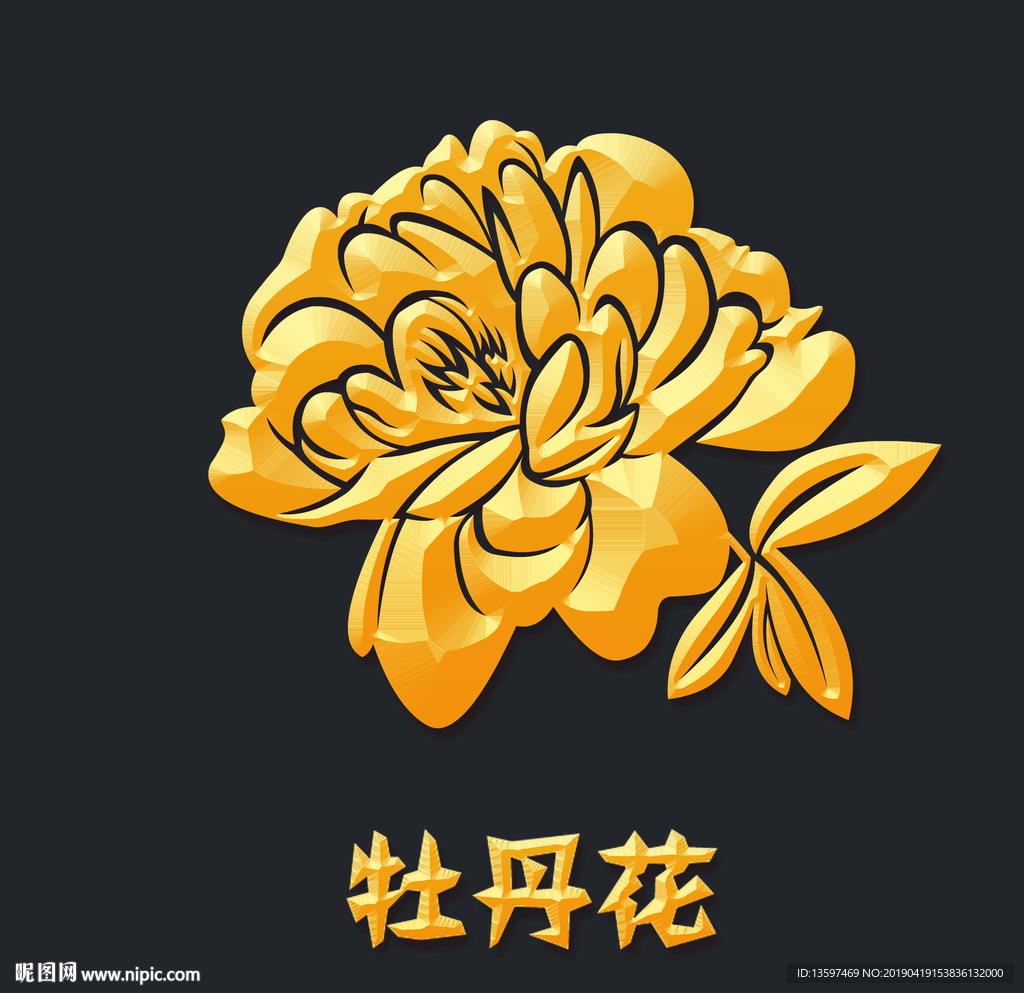 牡丹花