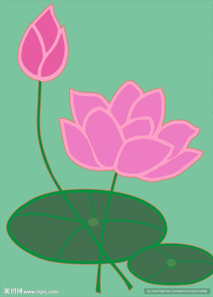 荷花