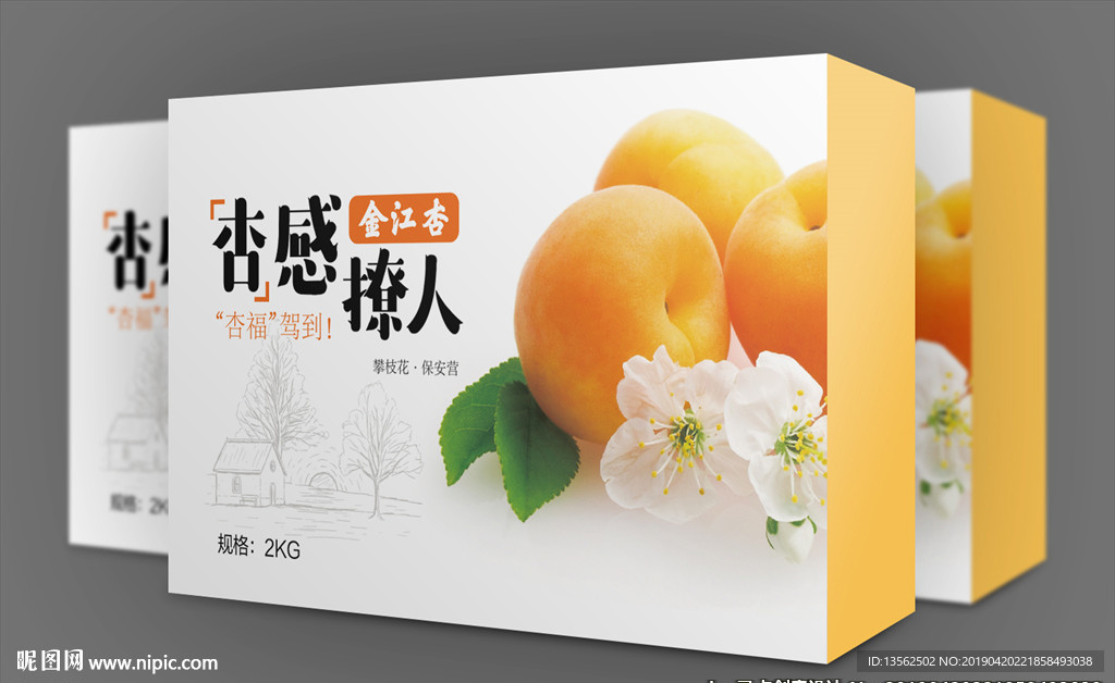 杏包装平面图
