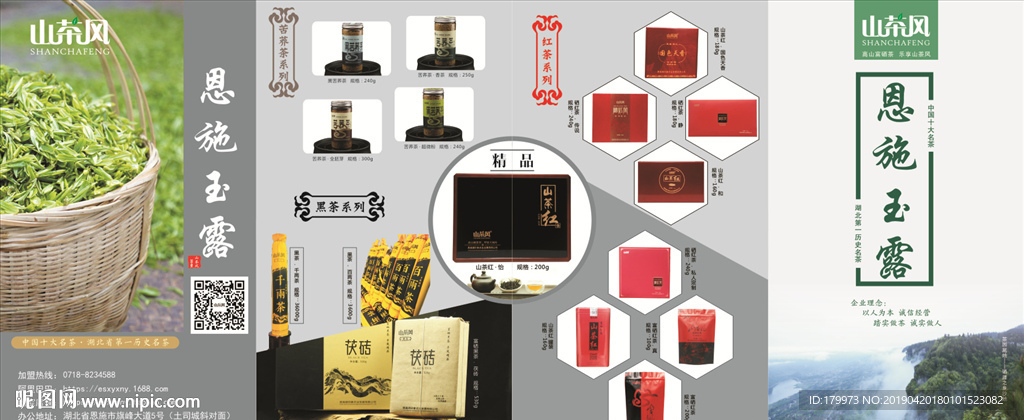 山茶风恩施玉露折页