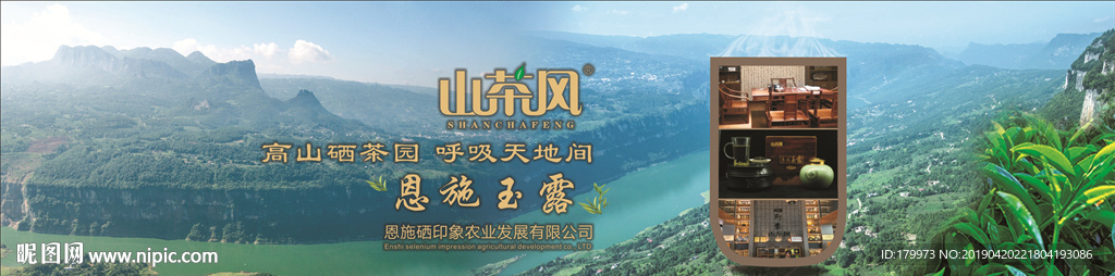 山茶风 恩施玉露  背景