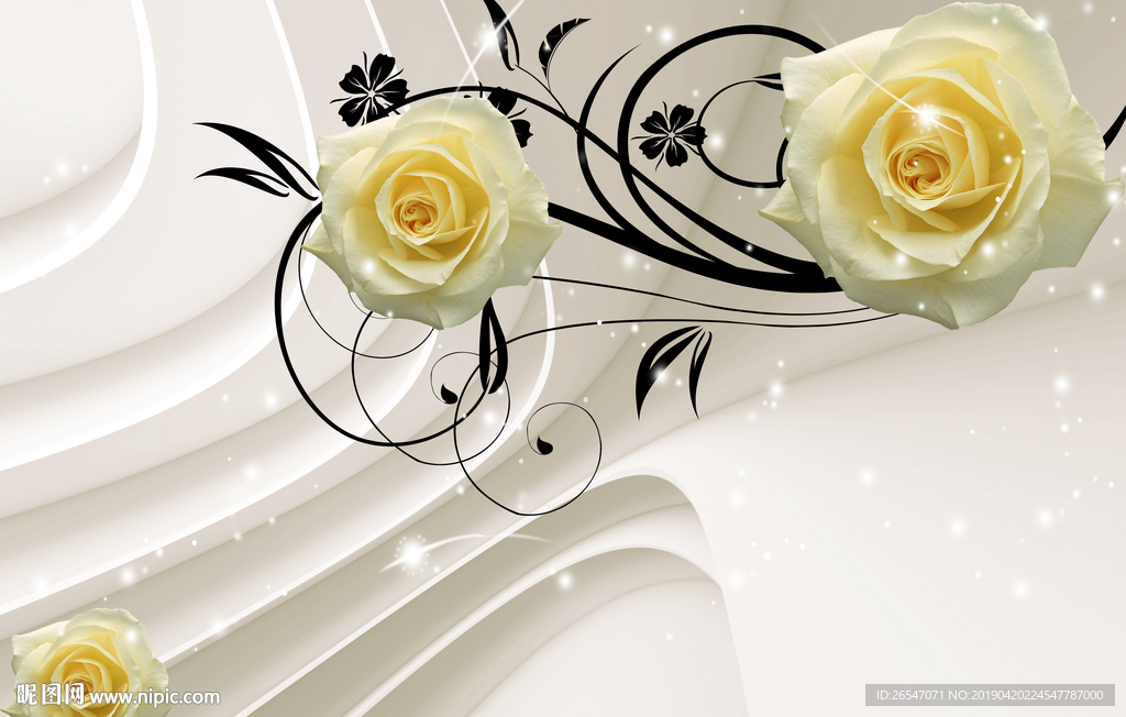 玫瑰花 玫瑰 花开