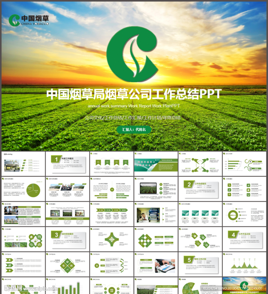 中国烟草局烟草公司工作PPT