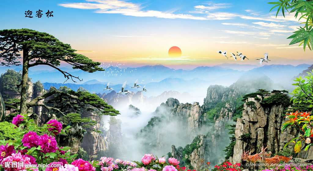 黄山迎客松