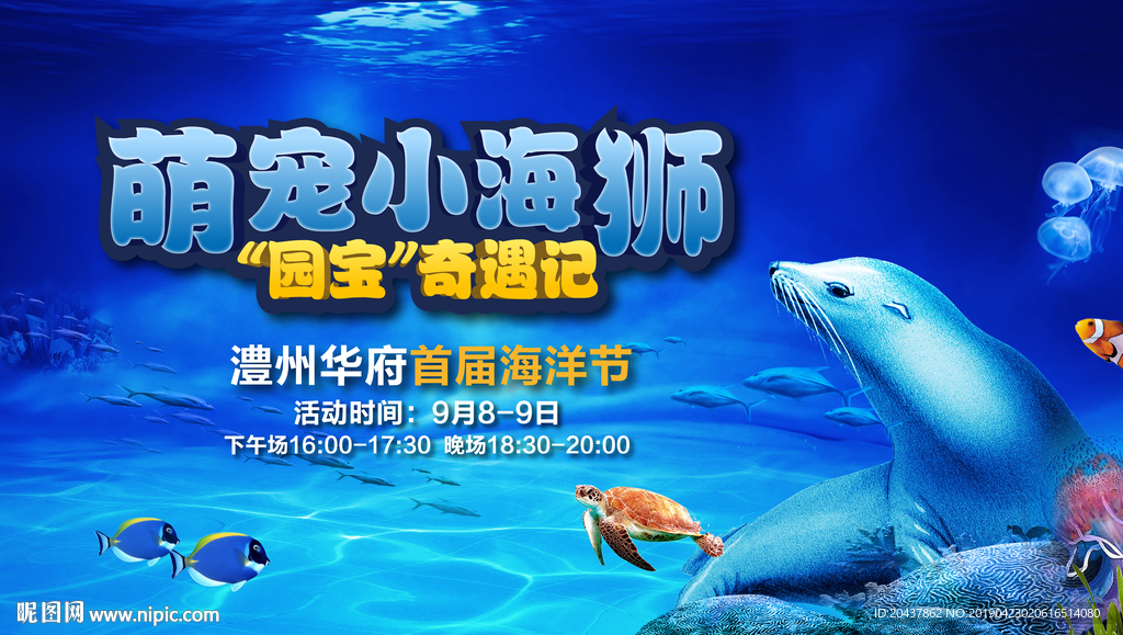 萌宠小海狮