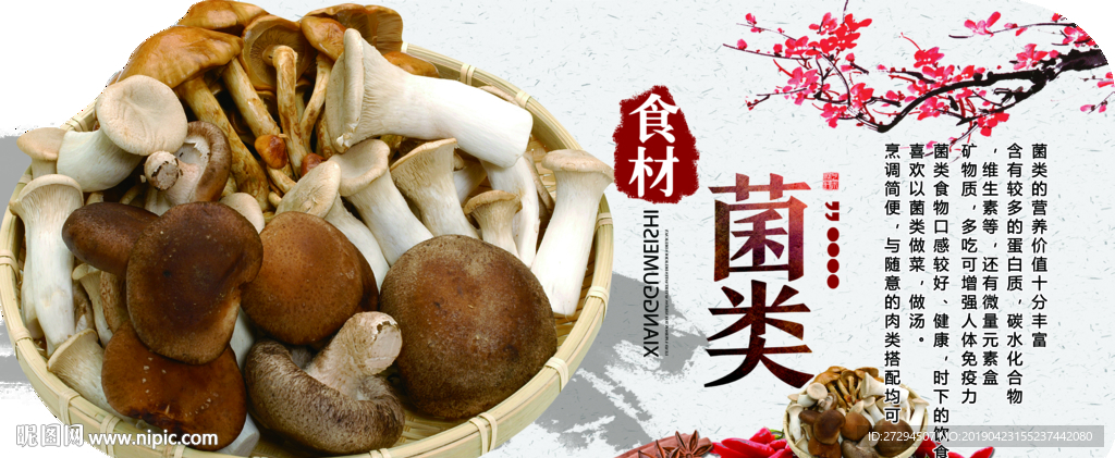 菌类