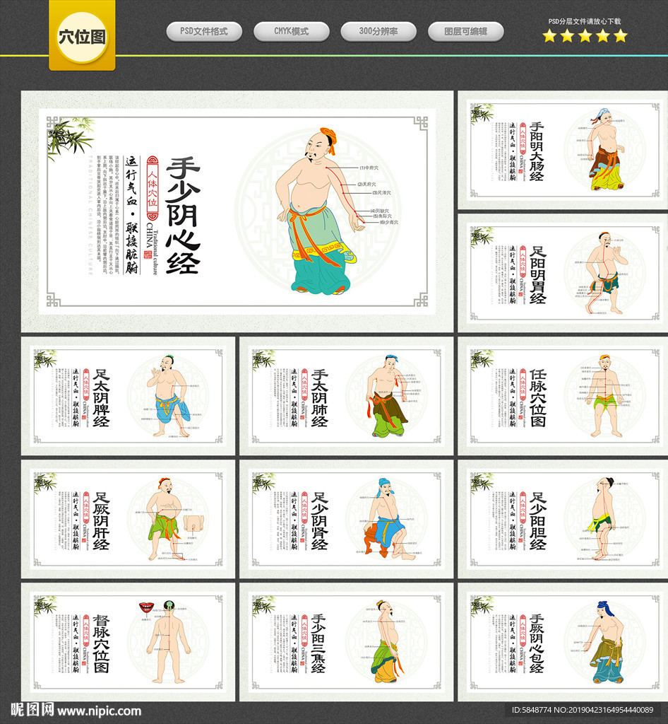 穴位图