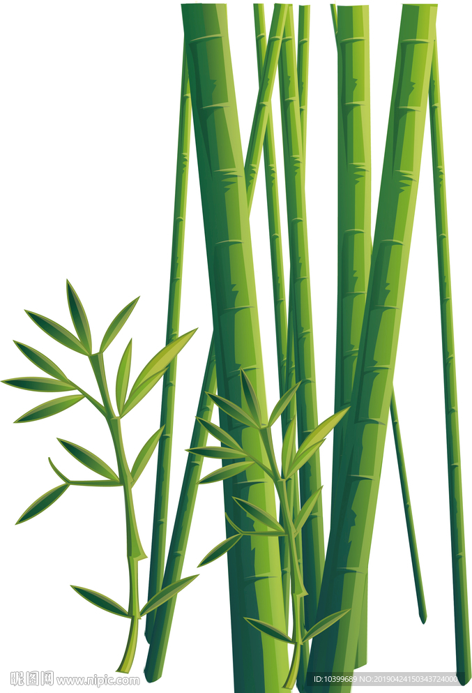 夏季精美竹子竹叶设计素材