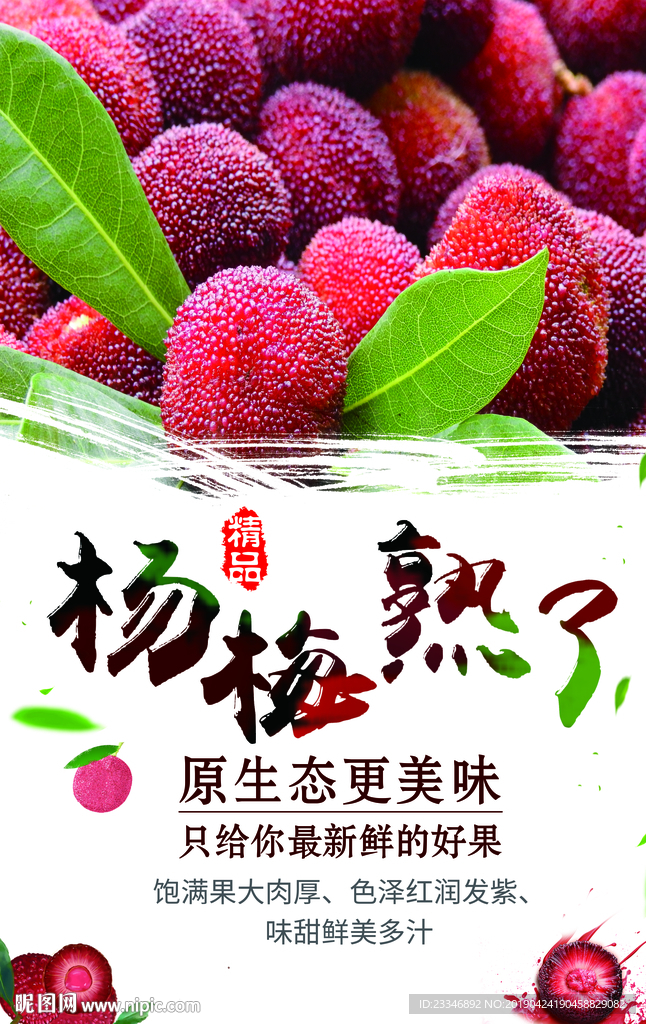 杨梅