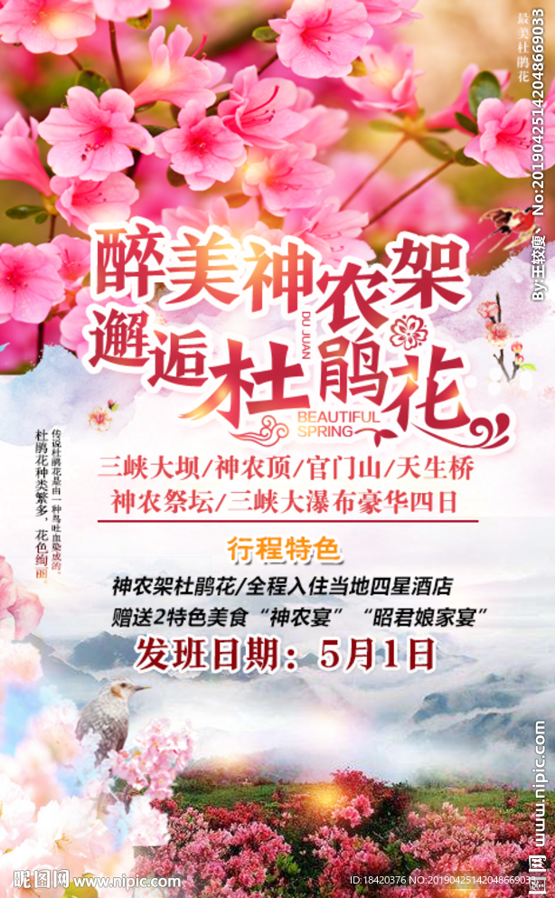 最美神农架  邂逅杜鹃花