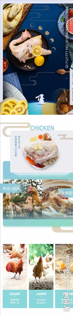 土鸡