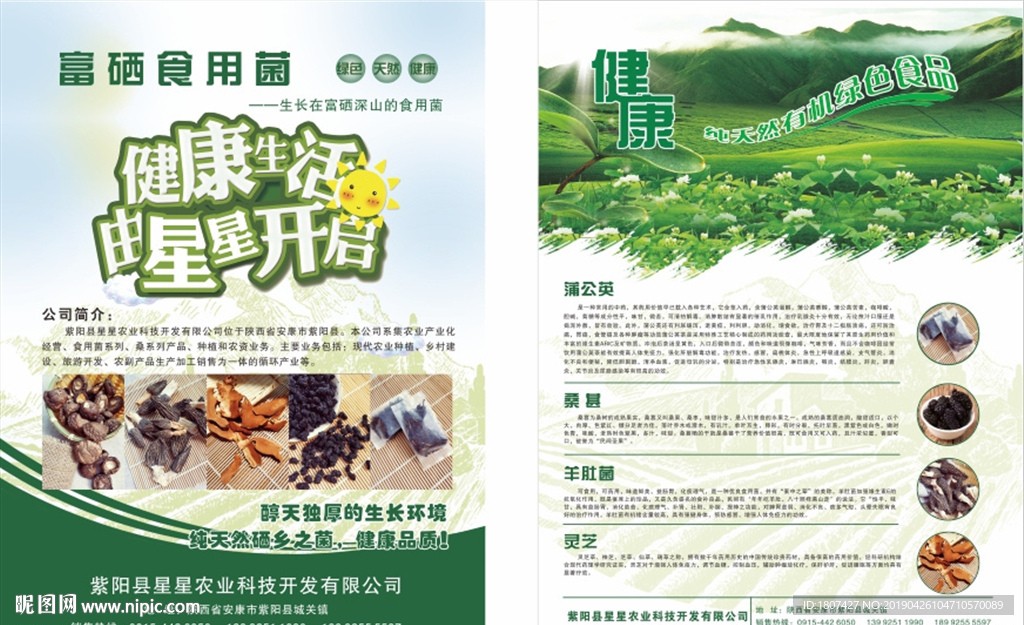 土特产农产品宣传单页