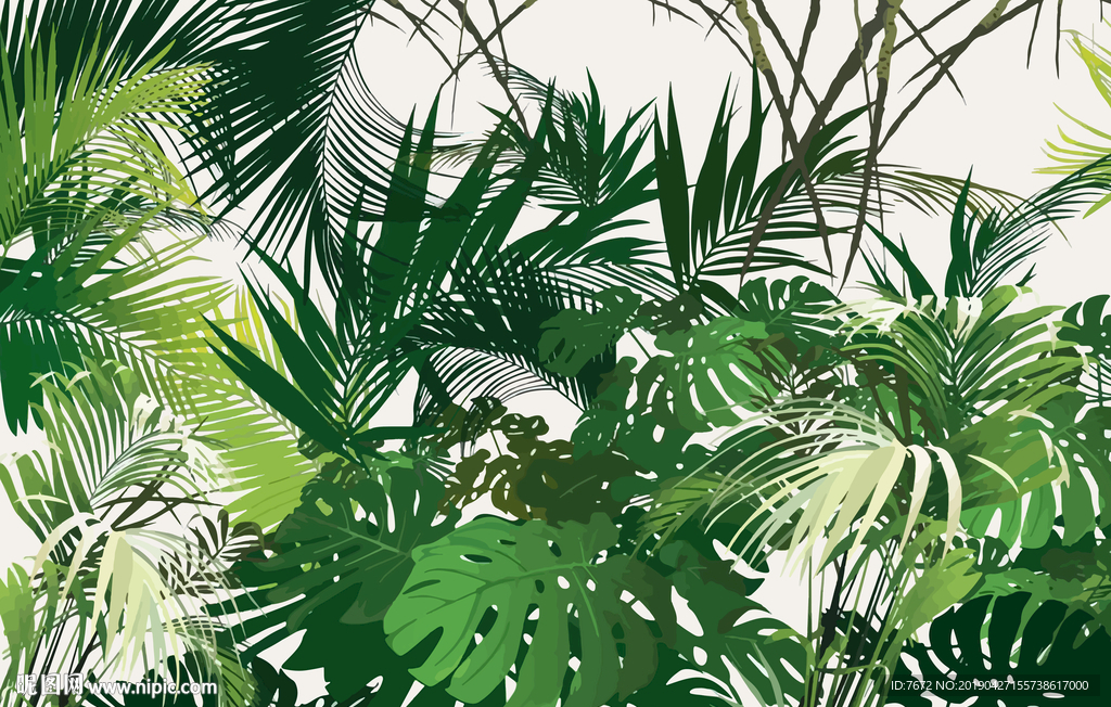 热带植物椰树林