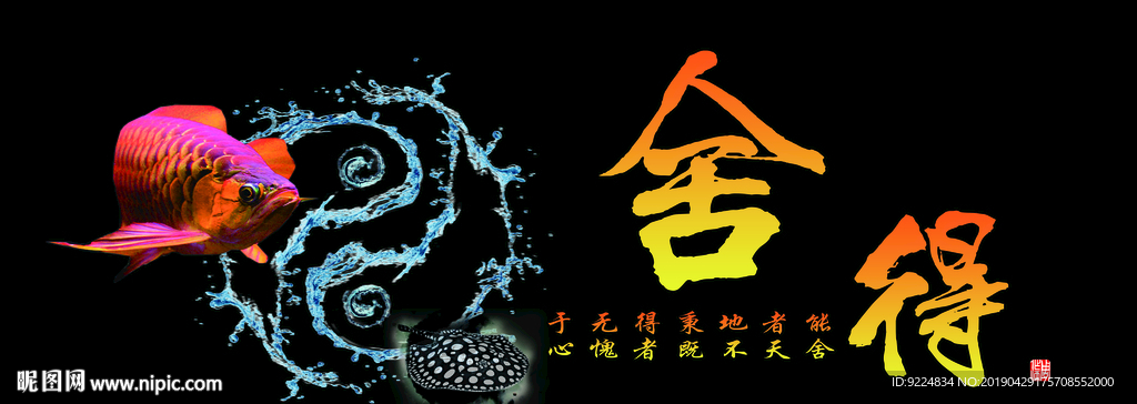 舍得鱼缸背景