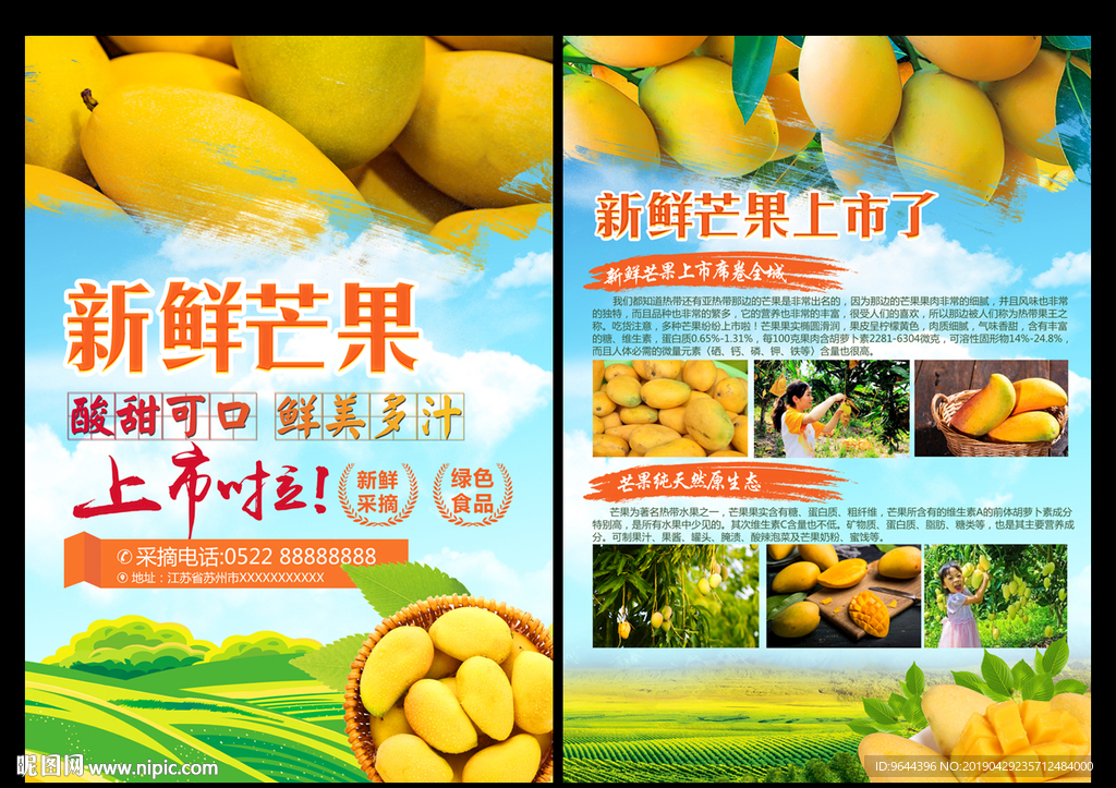 芒果上市了