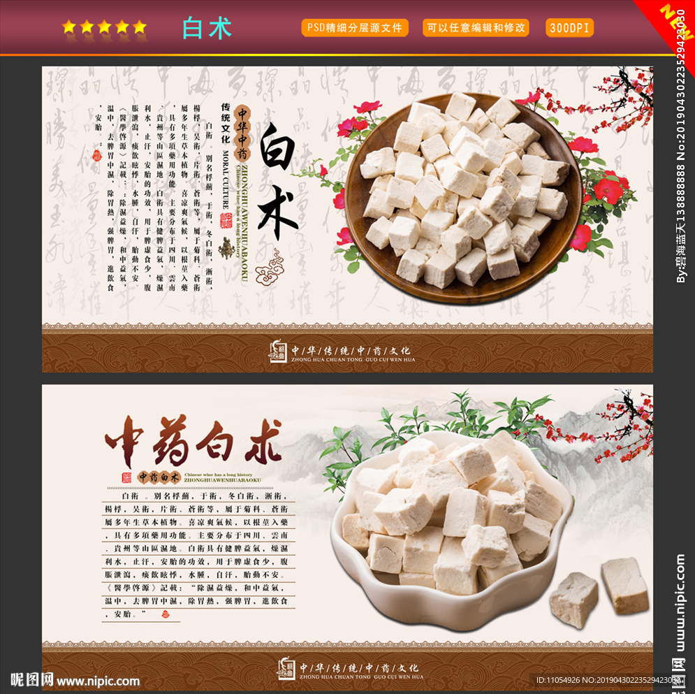 白术