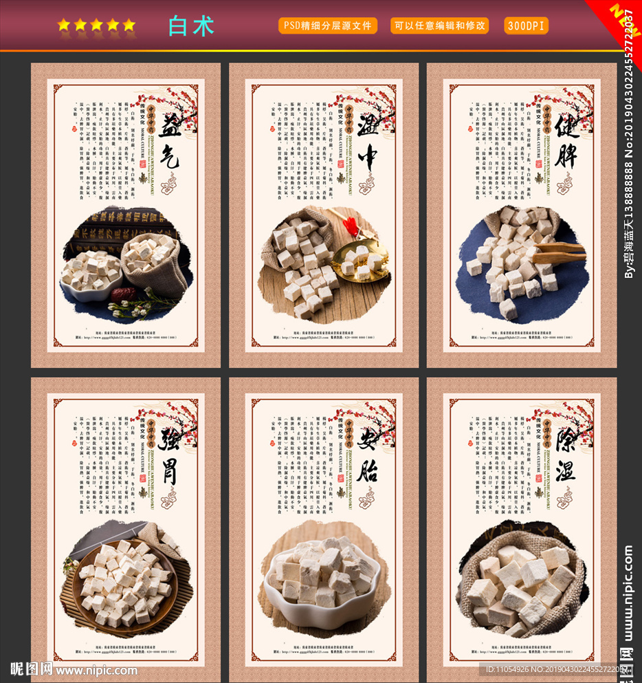 白术