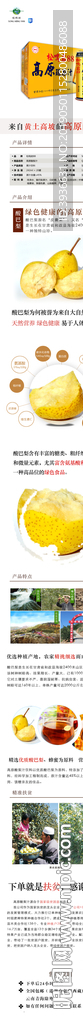 甘肃特产松鸣岩88高原酸梨子汁