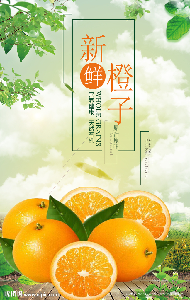 橙子