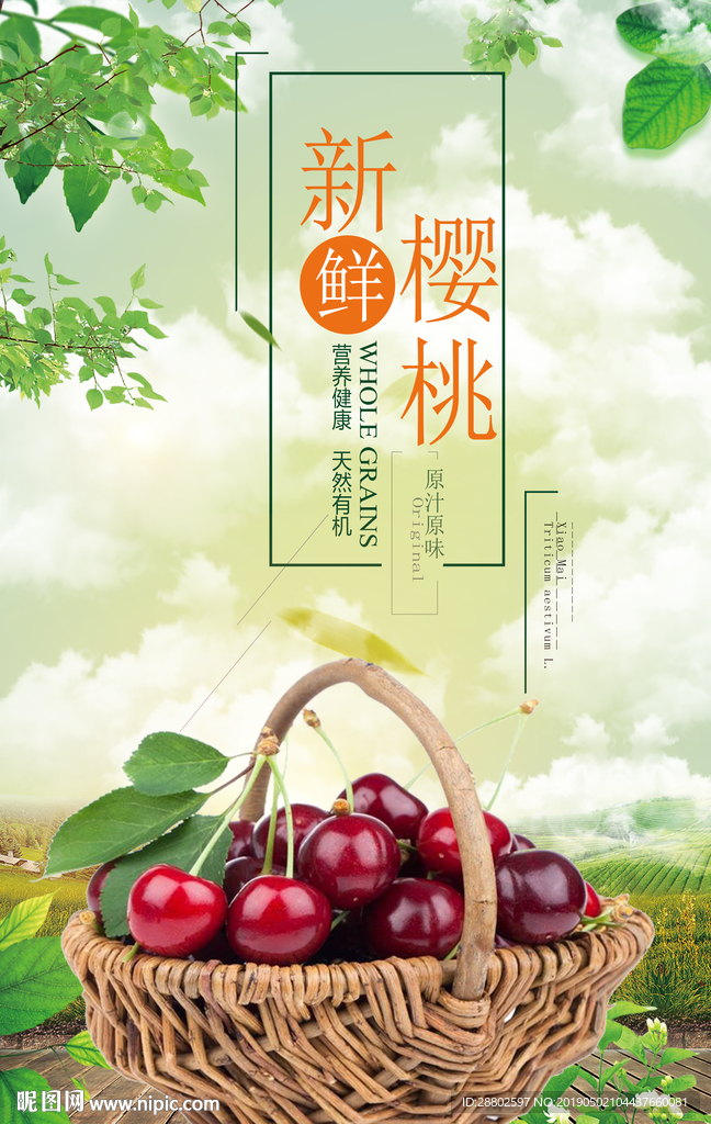 樱桃