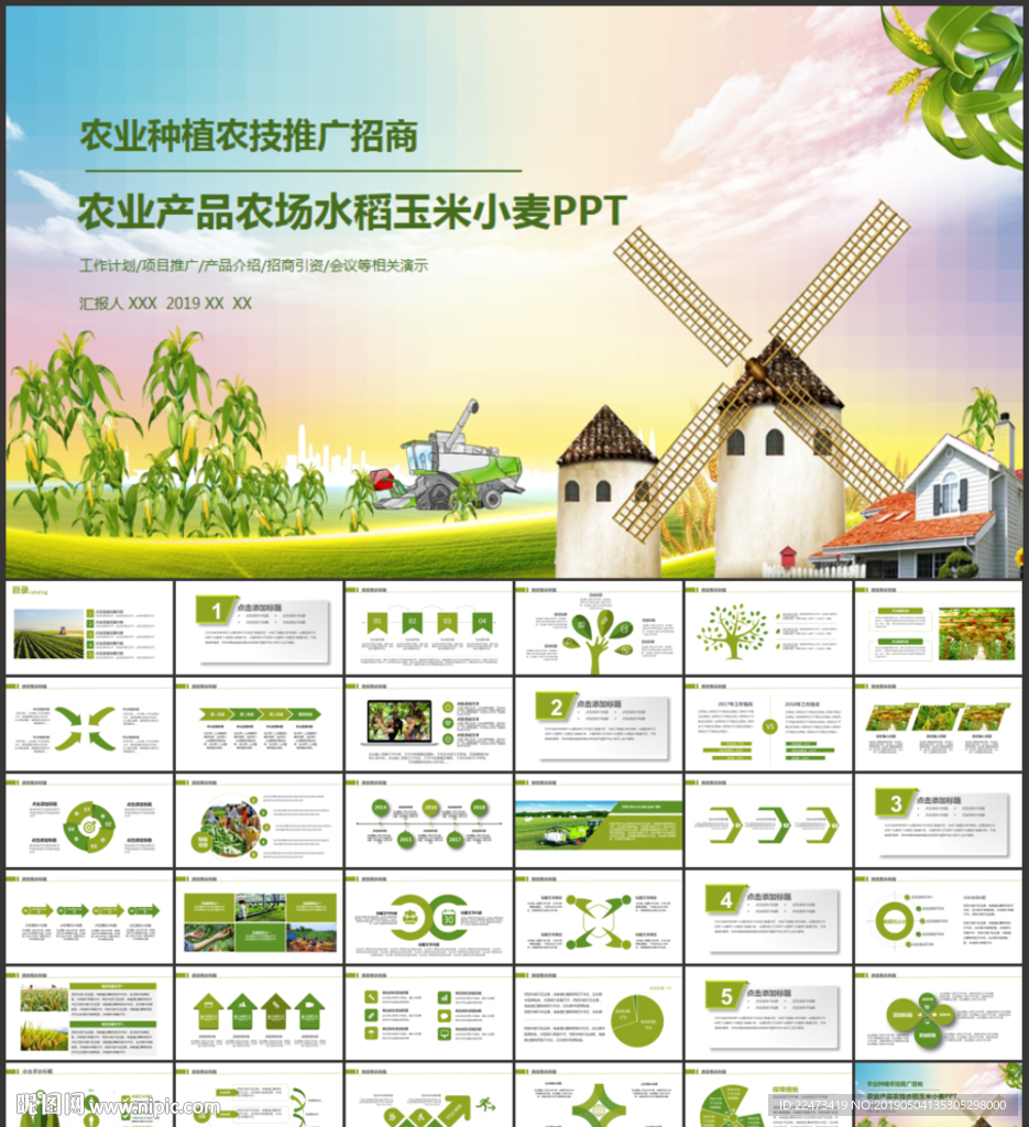 绿色农业产品农场水稻玉米小麦