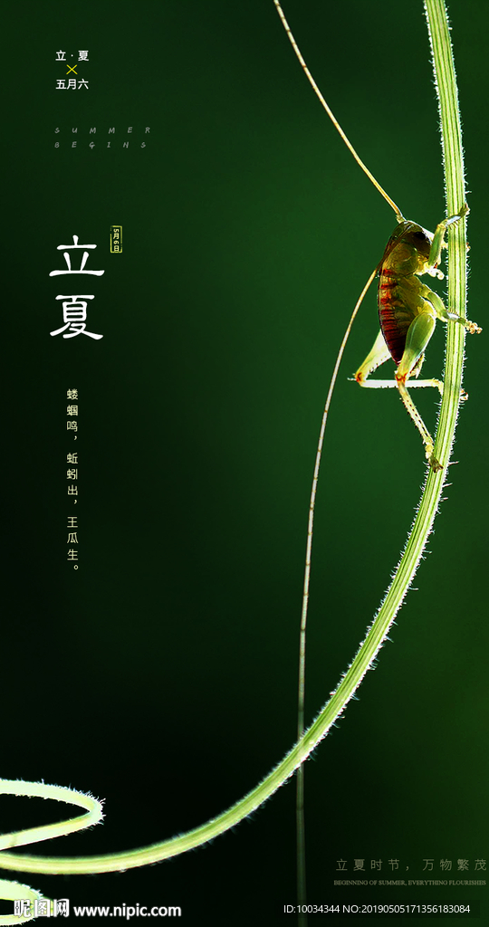 立夏