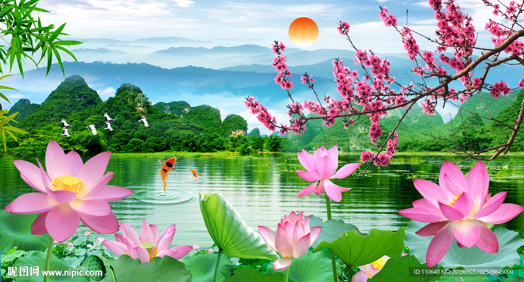 荷花