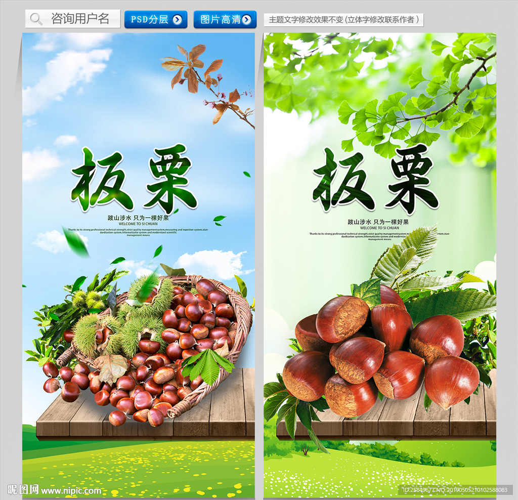 板栗