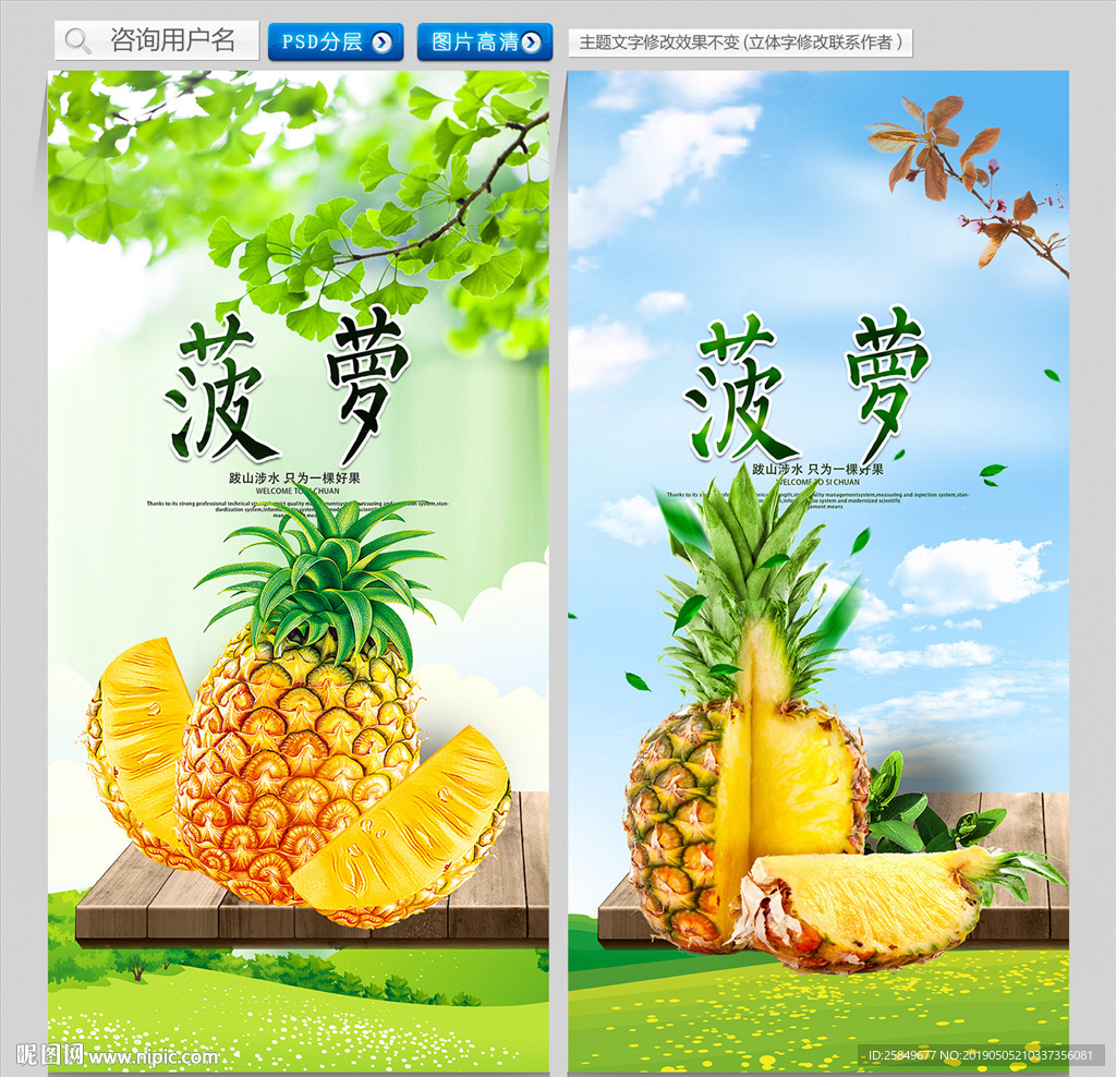 菠萝