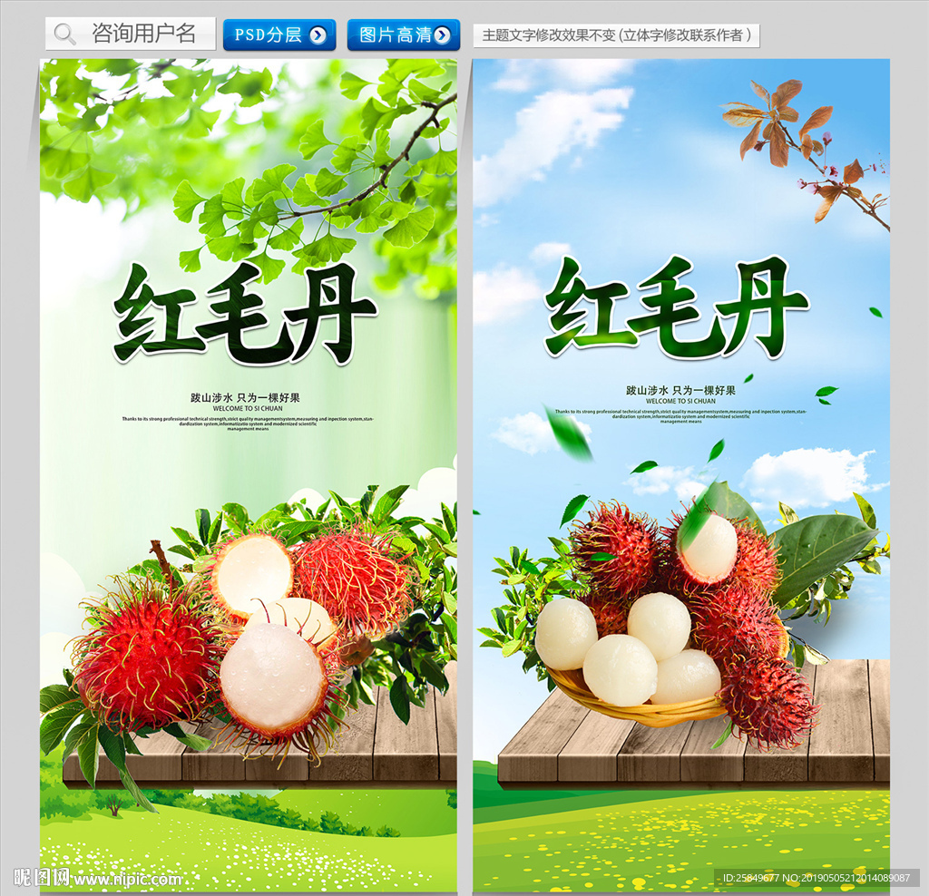 红毛丹