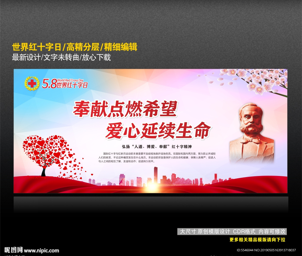 世界红十字日