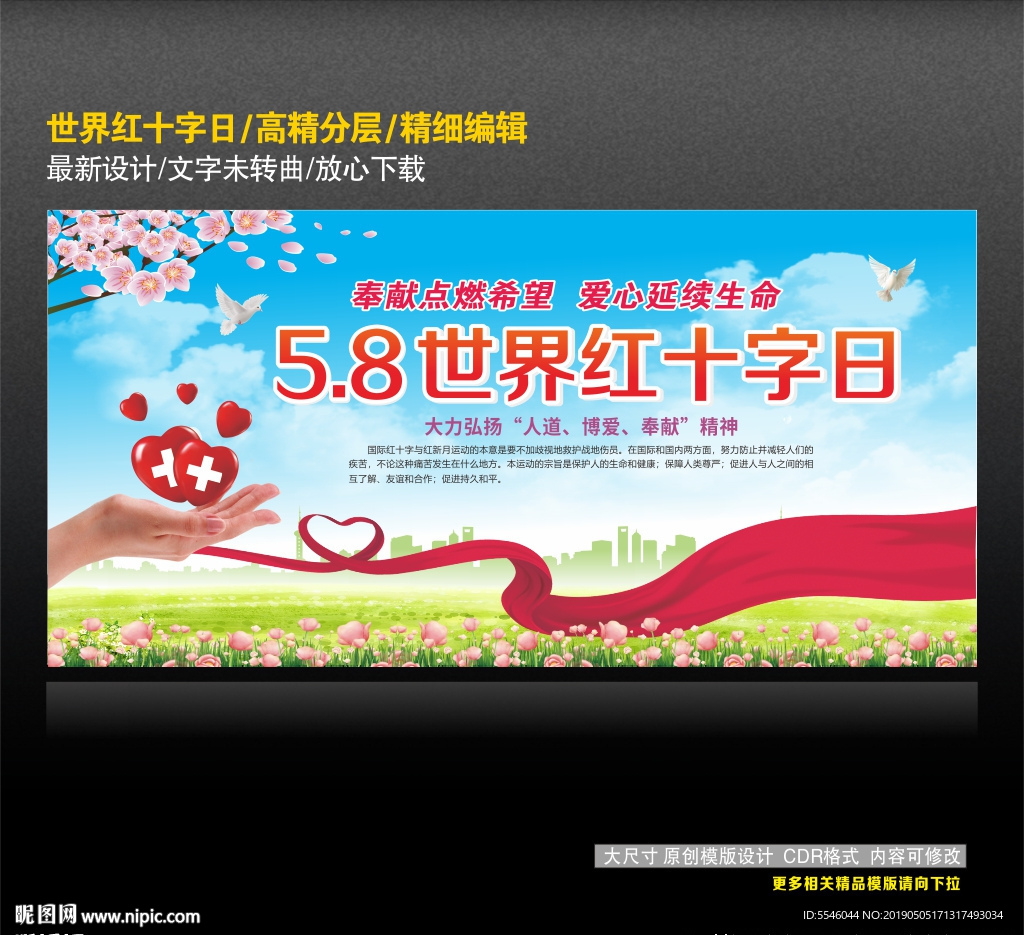 世界红十字日