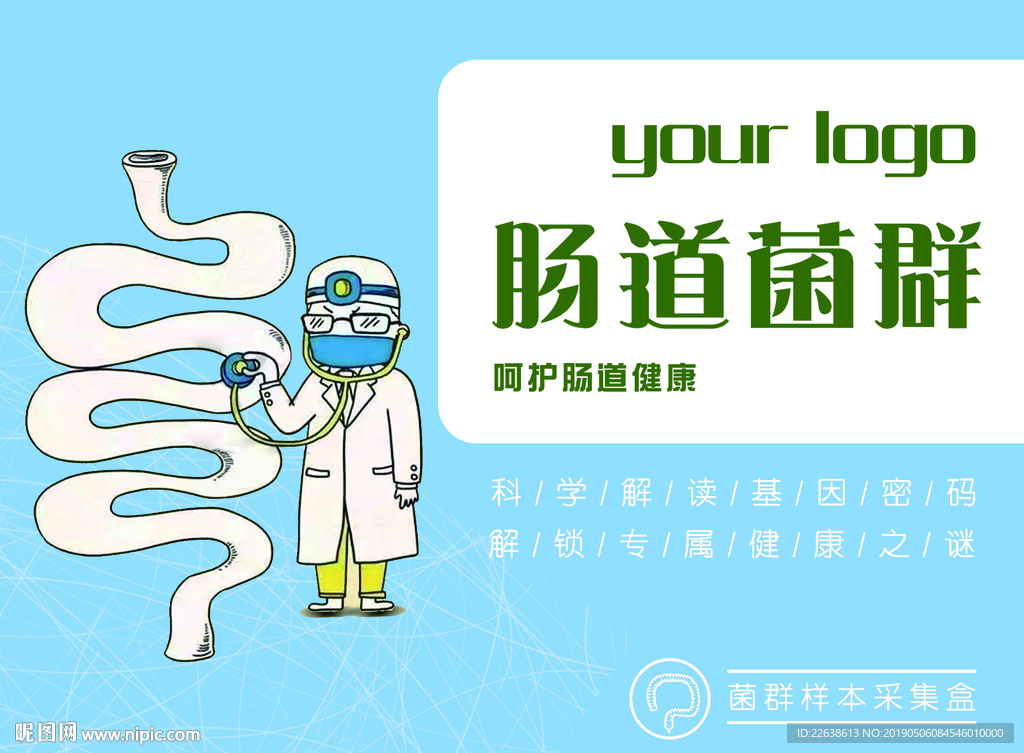 肠道菌群