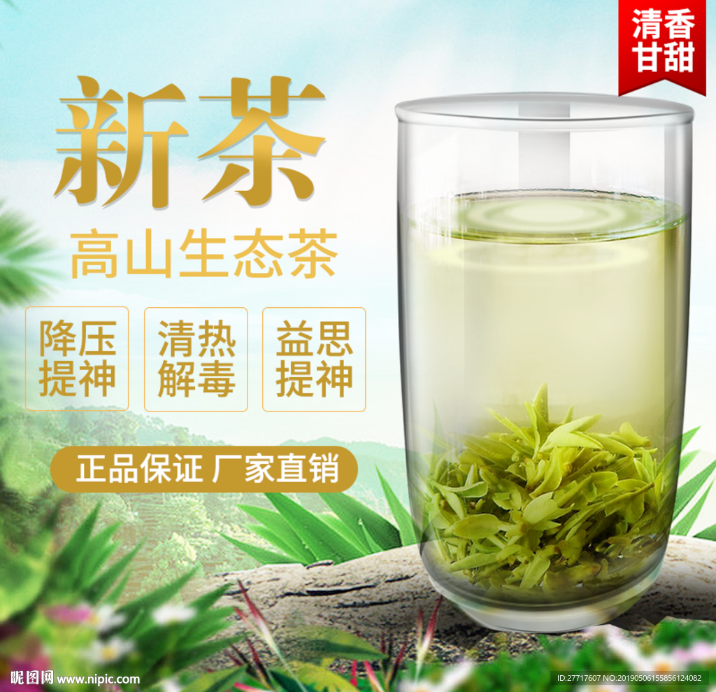 茶叶主图