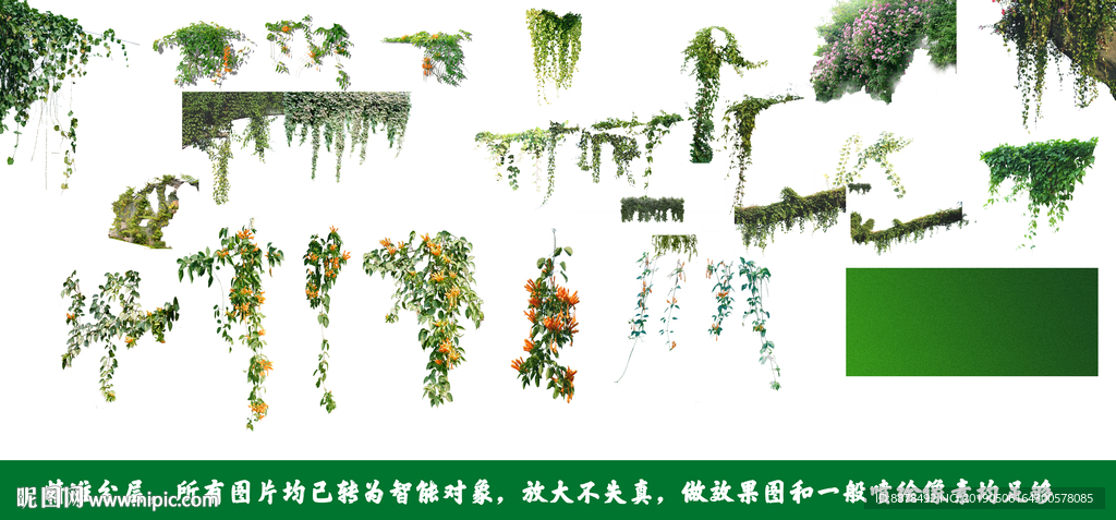 植物墙