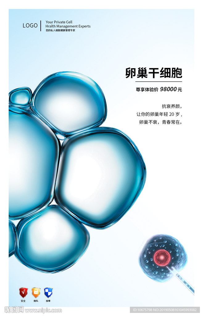干细胞 抗衰