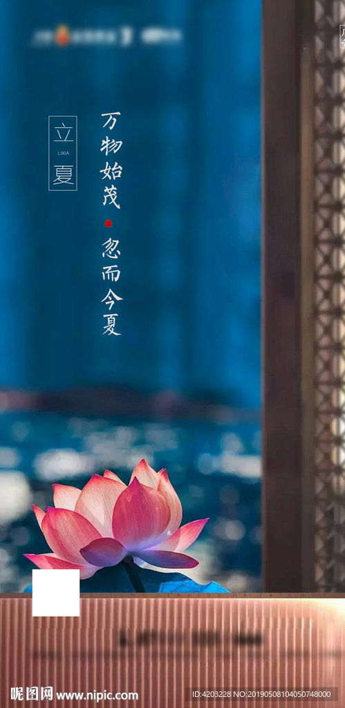 地产立夏