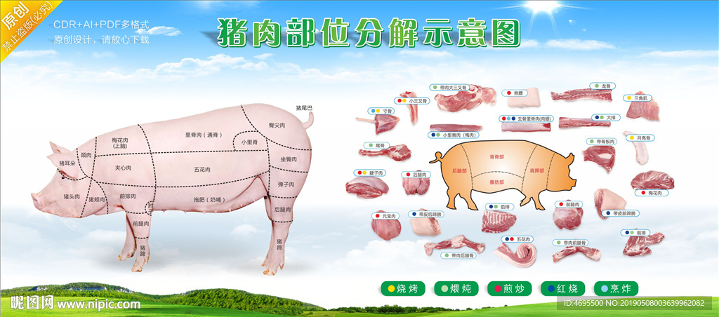 猪肉部位分解分割高清示意图