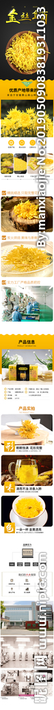金丝皇菊