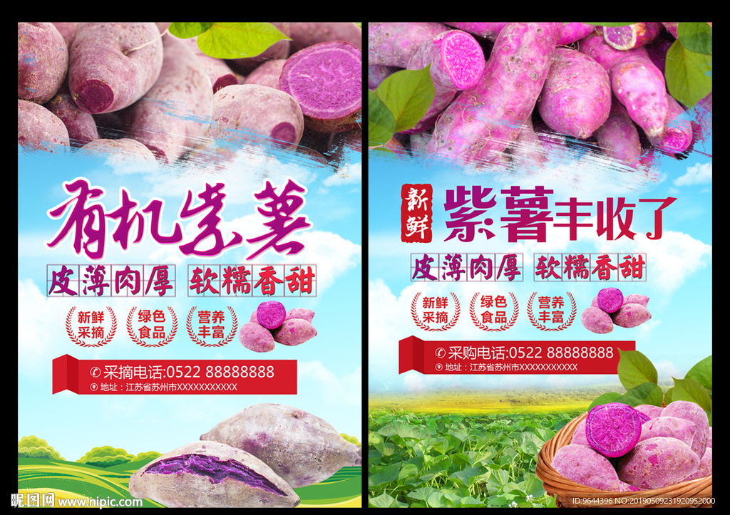紫薯