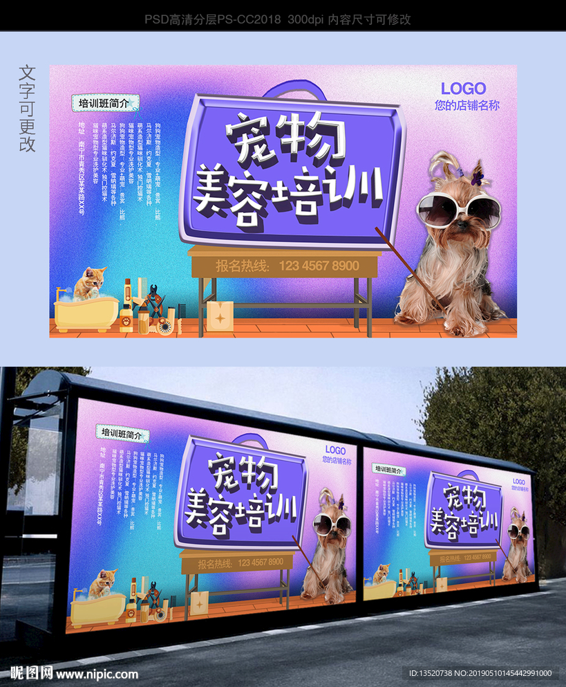 宠物美容培训班