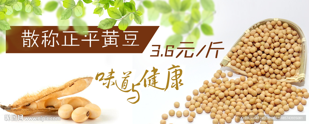 网站轮播图—黄豆图片