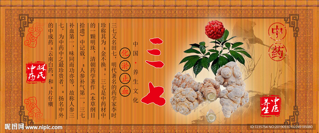 中药材三七田七