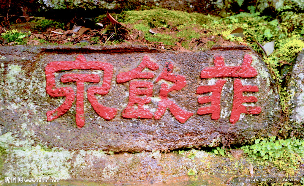 菲饮泉