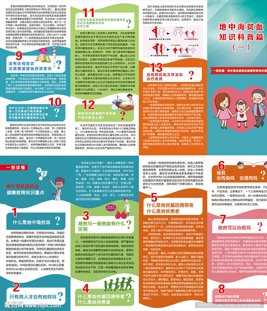 地中海贫血防治健康教育知识重点