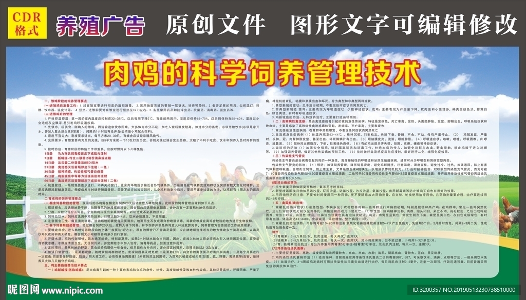 肉鸡的科学饲养管理技术