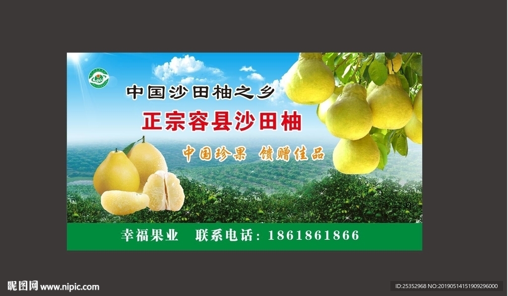 柚子广告