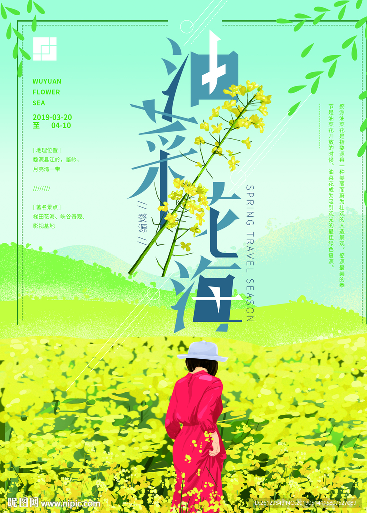 油菜花