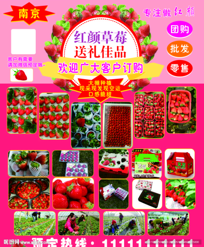 草莓